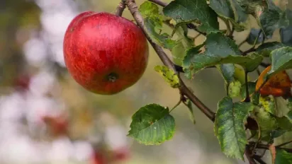 До України йде прохолодне повітря: де знизиться температура - фото