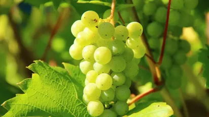 Справжній суперпродукт: ви зможете придбати його в кожному супермаркеті - фото