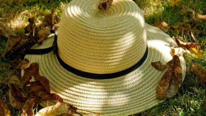 Бабине літо в Україні: синоптикиня Діденко розказала, що буде з погодою - фото