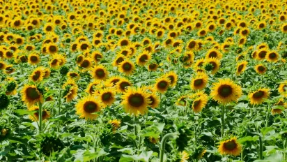 4 вересня принесе несподіванку: що приховує «лінія сходження» для погодніх умов - фото