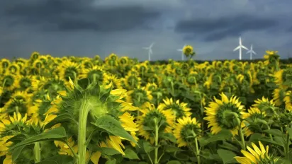 Якою буде погода 4 вересня: прогноз Наталки Діденко - фото