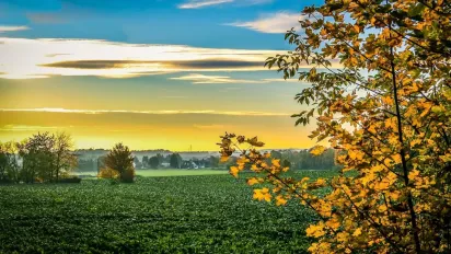 Якою буде погода у вересні: синоптики назвали головну тенденцію - фото