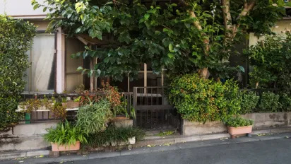 Яскраві листя та мінімальний догляд: ідеальні кущі для осені, які варто посадити просто зараз - фото