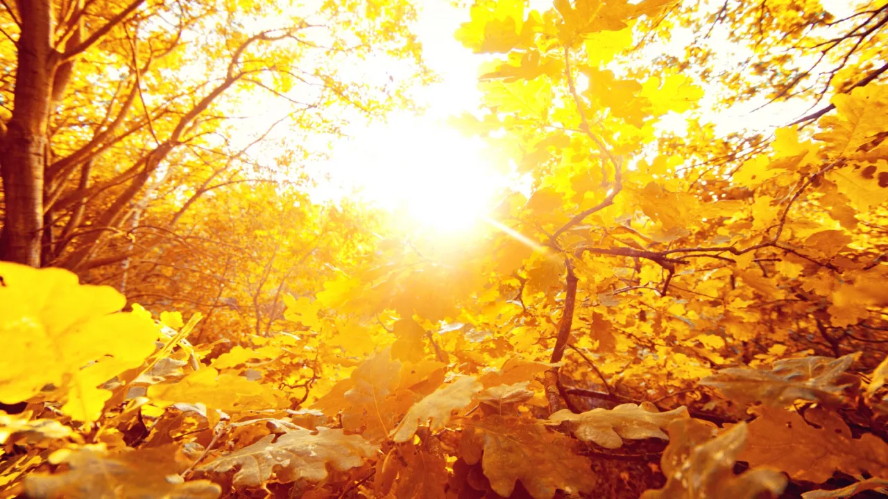 Що очікувати від погоди на вихідні — прогноз Наталки Діденко 