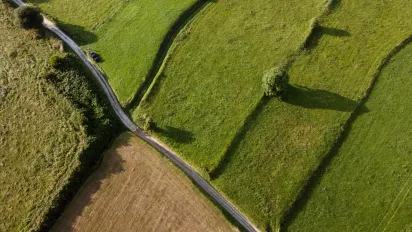Чи повинні люди з 3 групою інвалідності платити земельний податок та які категорії звільнені - фото