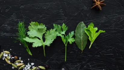 Найшвидші трави для городу та підвіконня: збір зелені вже через кілька днів - фото