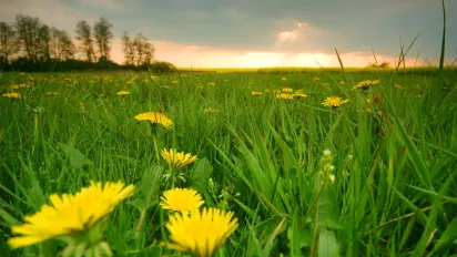 Заборони та традиції цього дня: що не можна робити 7 вересня - фото