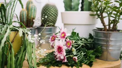 Кімнатні квіти, що наповнять квартиру пахощами без ароматизаторів - фото