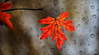 Синоптикиня Діденко розповіла, коли в Україну прийде похолодання та дощі - фото