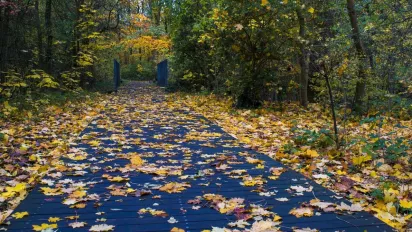 Що розкладали на підвіконні 9 вересня, щоб нечисть не знала дороги в дім: народні прикмети - фото