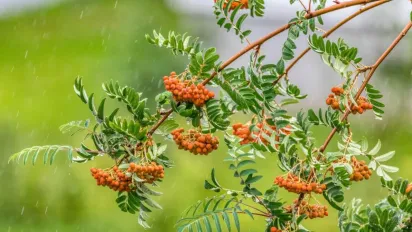 Синоптикиня Діденко розказала, як зміниться погода в Україні - фото