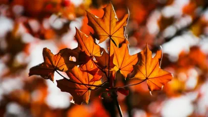 В Україну прийшов антициклон: якою буде погода - фото