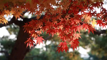 Синоптикиня попередила про незвичну температуру в Україні 10 вересня - фото