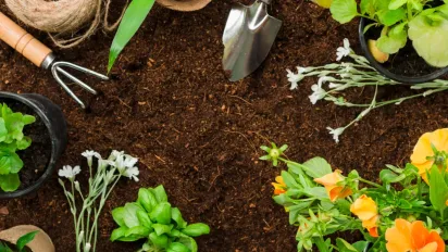 Небезпечні дні у вересні: чому 19 і 20 числа не можна працювати на городі - фото