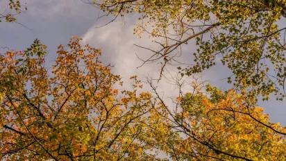 12 вересня: народні прикмети, заборони та традиції дня - фото