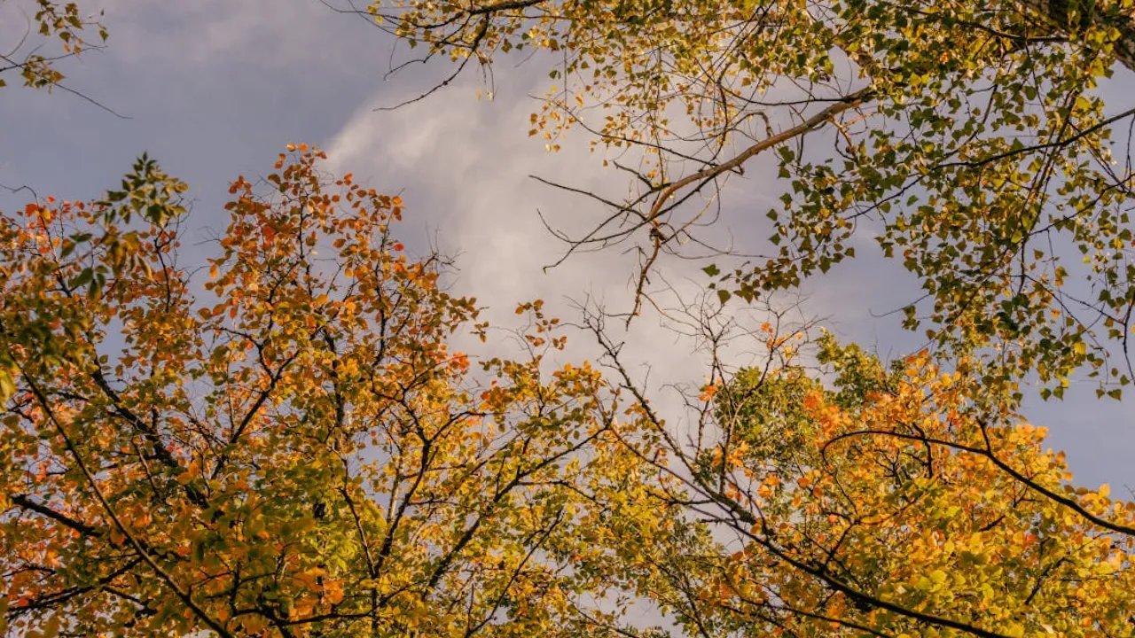 12 вересня: народні прикмети, заборони та традиції дня 