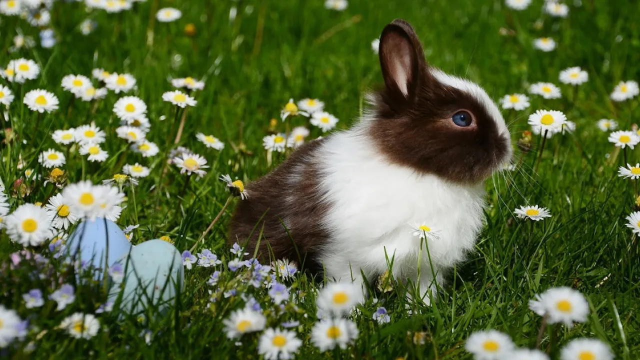 Коли Великдень у 2026: дати католицького і православного святкування 