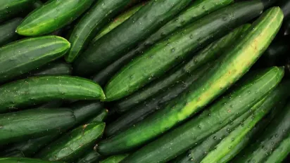 Чому огірки стають гіркими: головні причини та як цього позбутися - фото