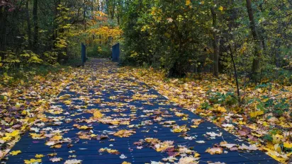 14 вересня - Воздвиження Хреста Господнього: звичаї, прикмети та заборони свята - фото