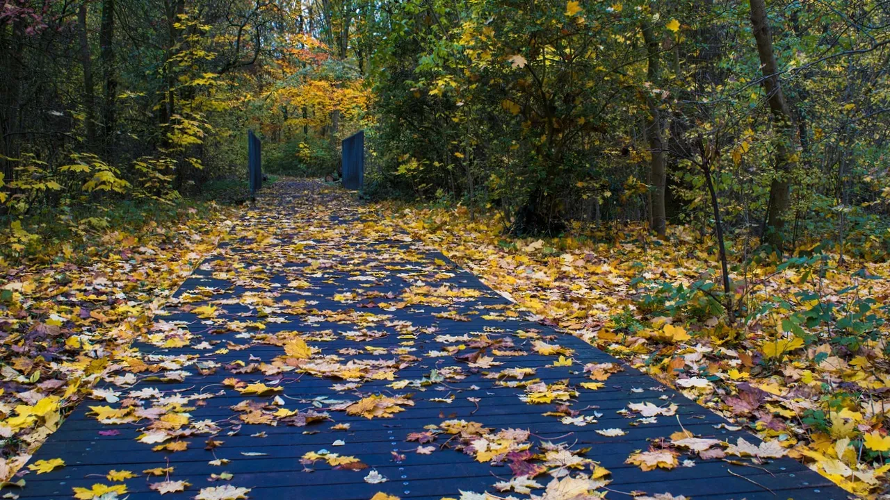14 вересня - Воздвиження Хреста Господнього: звичаї, прикмети та заборони свята 
