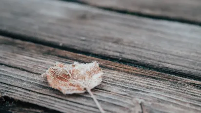 Коли чекати перші заморозки та якою буде погода у вересні: прогноз синоптика - фото