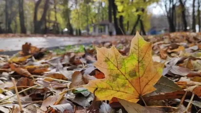 Що робили 16 вересня, щоб рік не знати хвороб та бідності: народні прикмети - фото