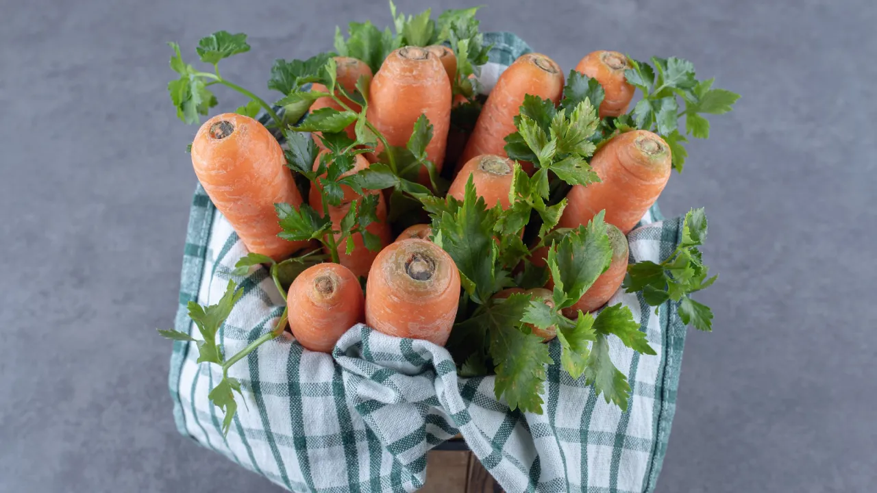 Зберігання моркви до весни без погреба: поради та хитрощі для свіжих коренеплодів 