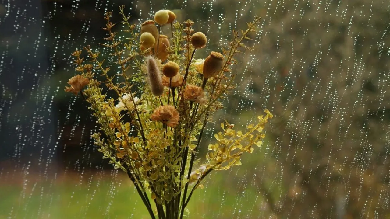 До України мчить осіннє похолодання з дощами та грозами: прогноз Укргідрометцентру 