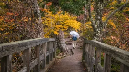 В Україну йде серйозне похолодання та дощі: прогноз Наталки Діденко - фото
