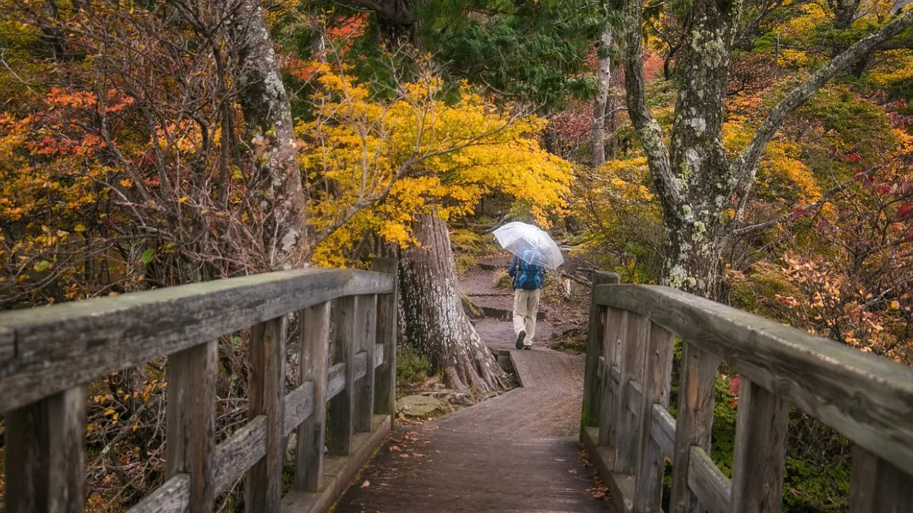 В Україну йде серйозне похолодання та дощі: прогноз Наталки Діденко 