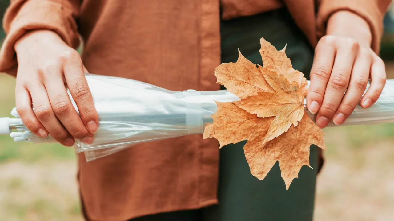 Раптове похолодання на Рівненщині: детальний прогноз на 17 вересня 