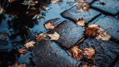 Укргідрометцентр попереджає про небезпеку: негода накриє 5 областей  - фото