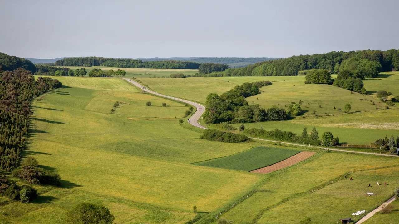 Безплатна земля від держави — чи реально отримати пай у 2025 році 