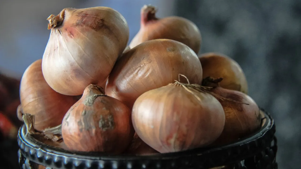 Як врятувати цибулю від гниття: дієві поради зберігання 