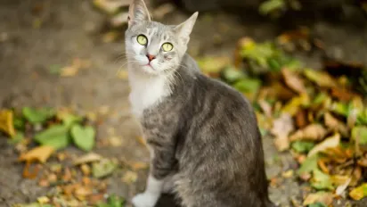 Україну розігріє до +28°: синоптикиня назвала точні дати, коли повернеться тепло - фото