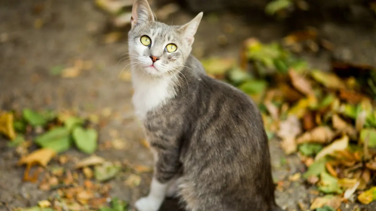 Україну розігріє до +28°: синоптикиня назвала точні дати, коли повернеться тепло 