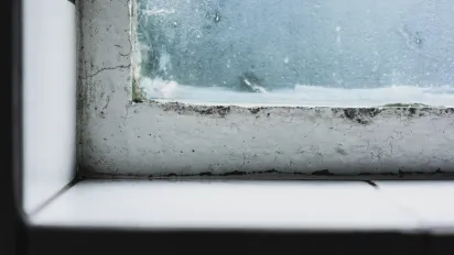 Яка температура в оселі допомагає уникнути цвілі і зберегти тепло - фото