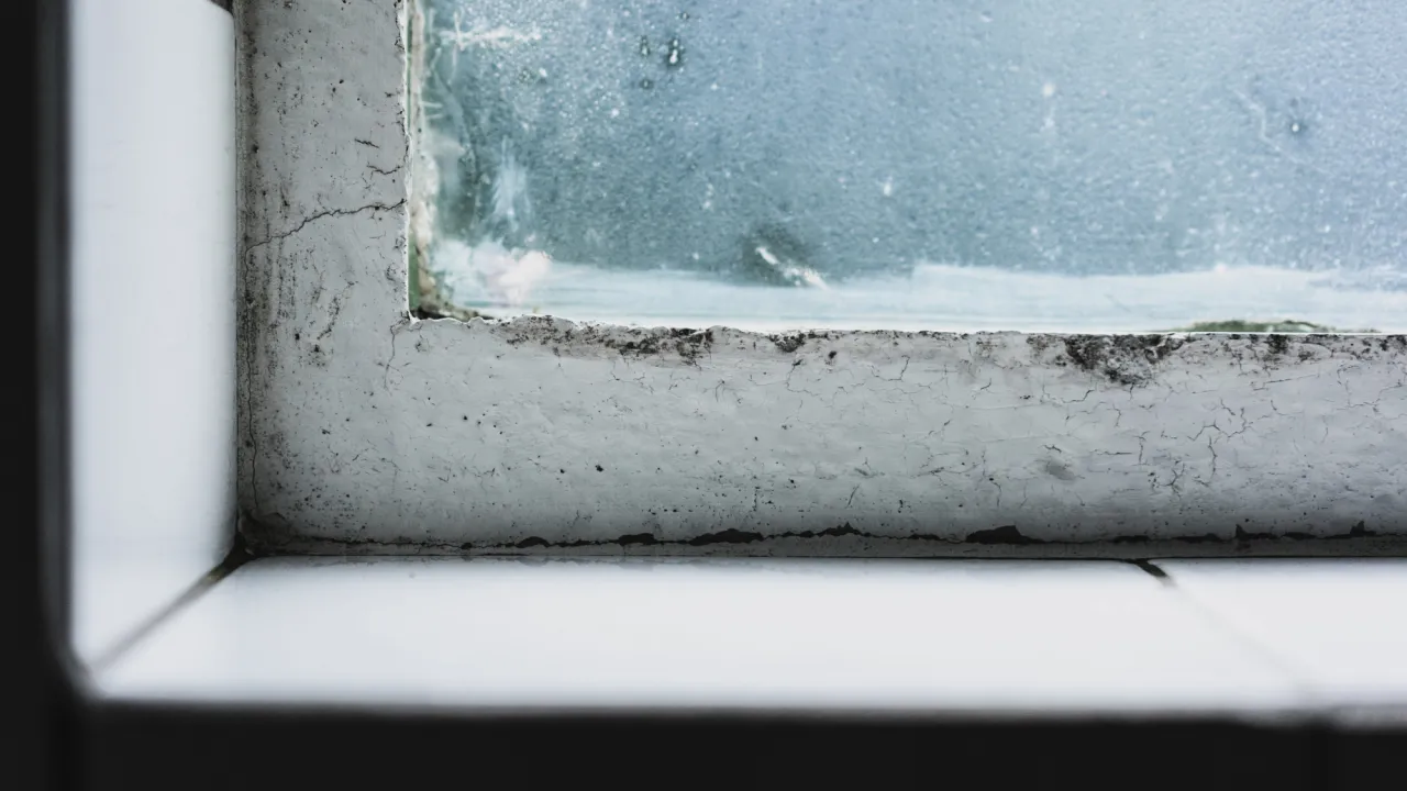 Яка температура в оселі допомагає уникнути цвілі і зберегти тепло 