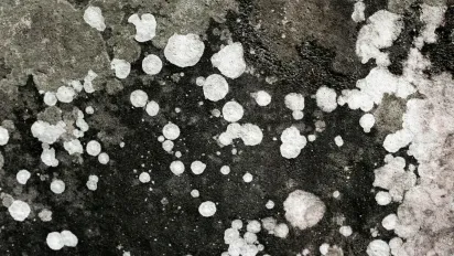 5 народних методів боротьби з пліснявою: прості рецепти й інструкції - фото