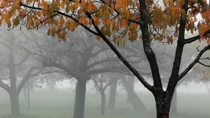 Названо дату, коли до України прийде нова хвиля похолодання - фото