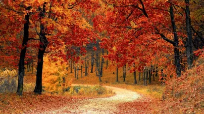 Синоптикиня розказала, коли Україну розігріє до +28 - фото