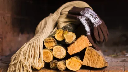Які дрова дають найбільше тепла: кращі варіанти для зими та ті, що не варто брати - фото