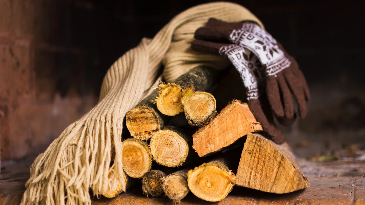 Які дрова дають найбільше тепла: кращі варіанти для зими та ті, що не варто брати 