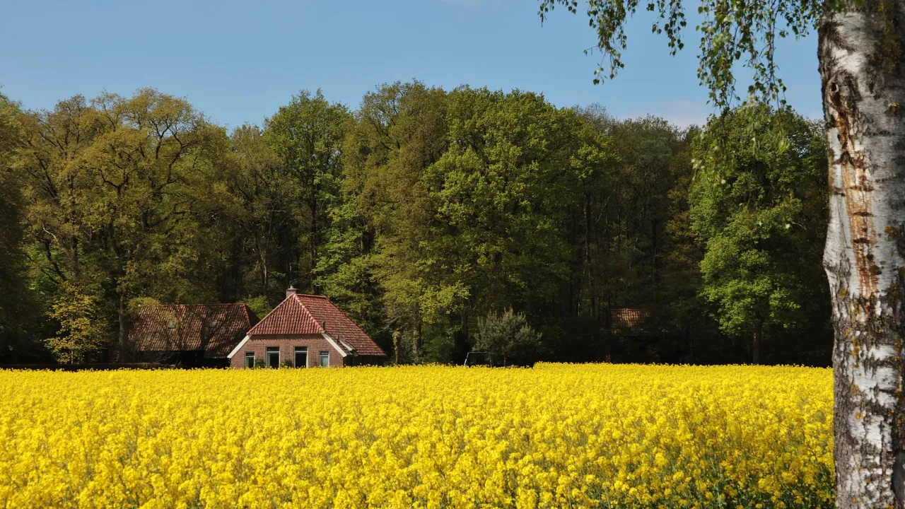 Чому сьогодні не можна дарувати подарунки дітям: головні заборони та прикмети 20 вересня 