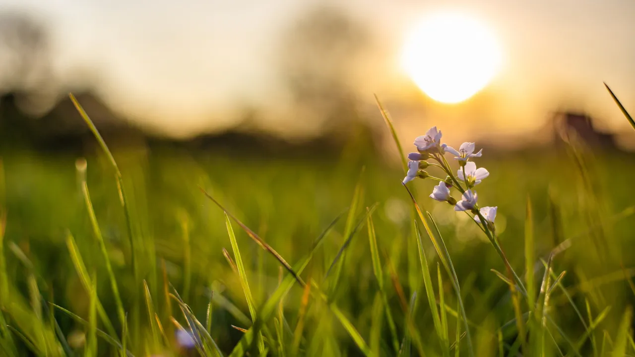 Що можна робити на осіннє рівнодення 22 вересня, щоб залучити щастя та удачу 