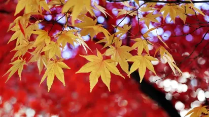 Що не можна їсти 22 вересня, щоб не накликати бідність: народні прикмети - фото