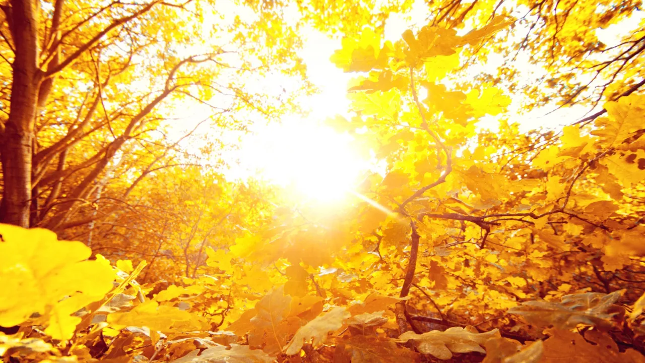 Відштовхнете багатство та щастя на весь рік: суворі заборони в День осіннього рівнодення 2025 