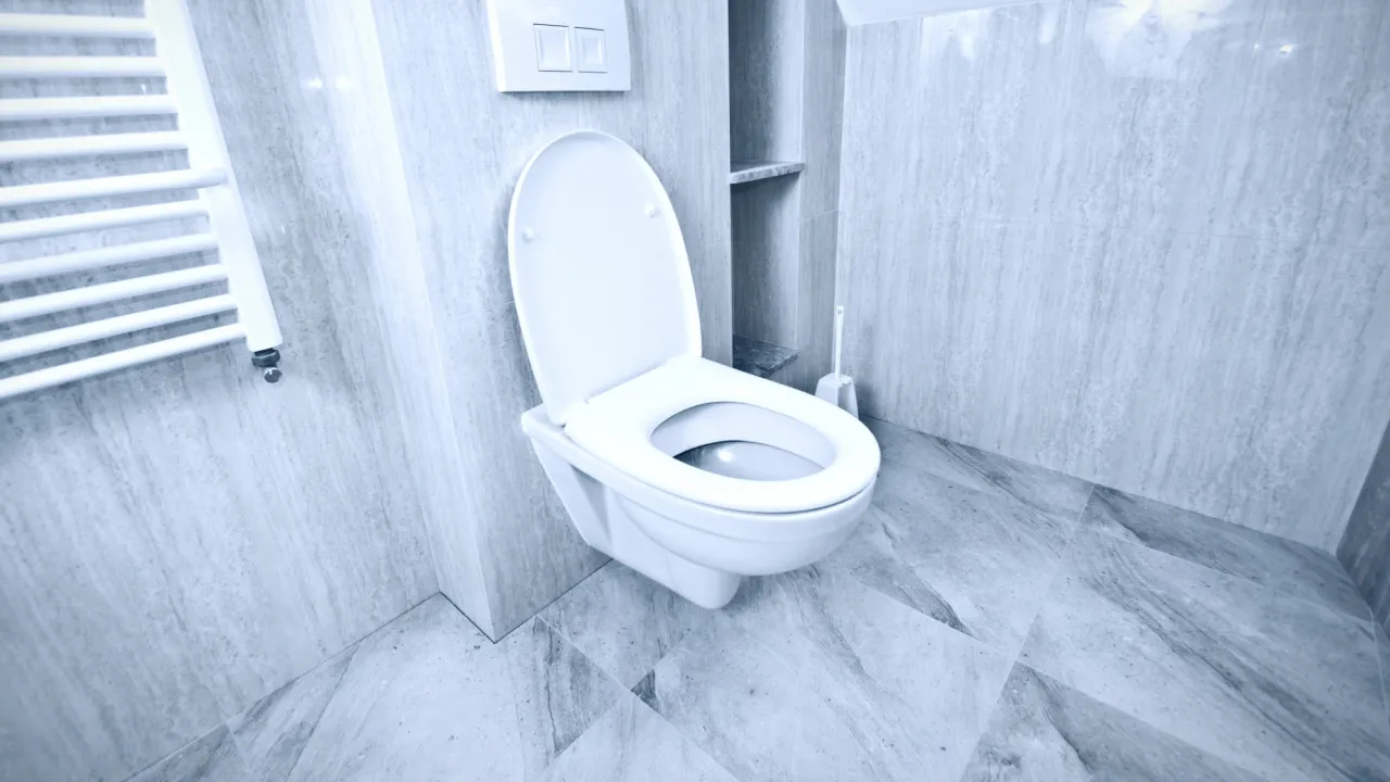 Не тільки «туалет»: 8 автентичних назв українською мовою 