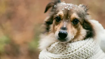До України йде різке похолодання: синоптик розповіла, коли чекати змін - фото