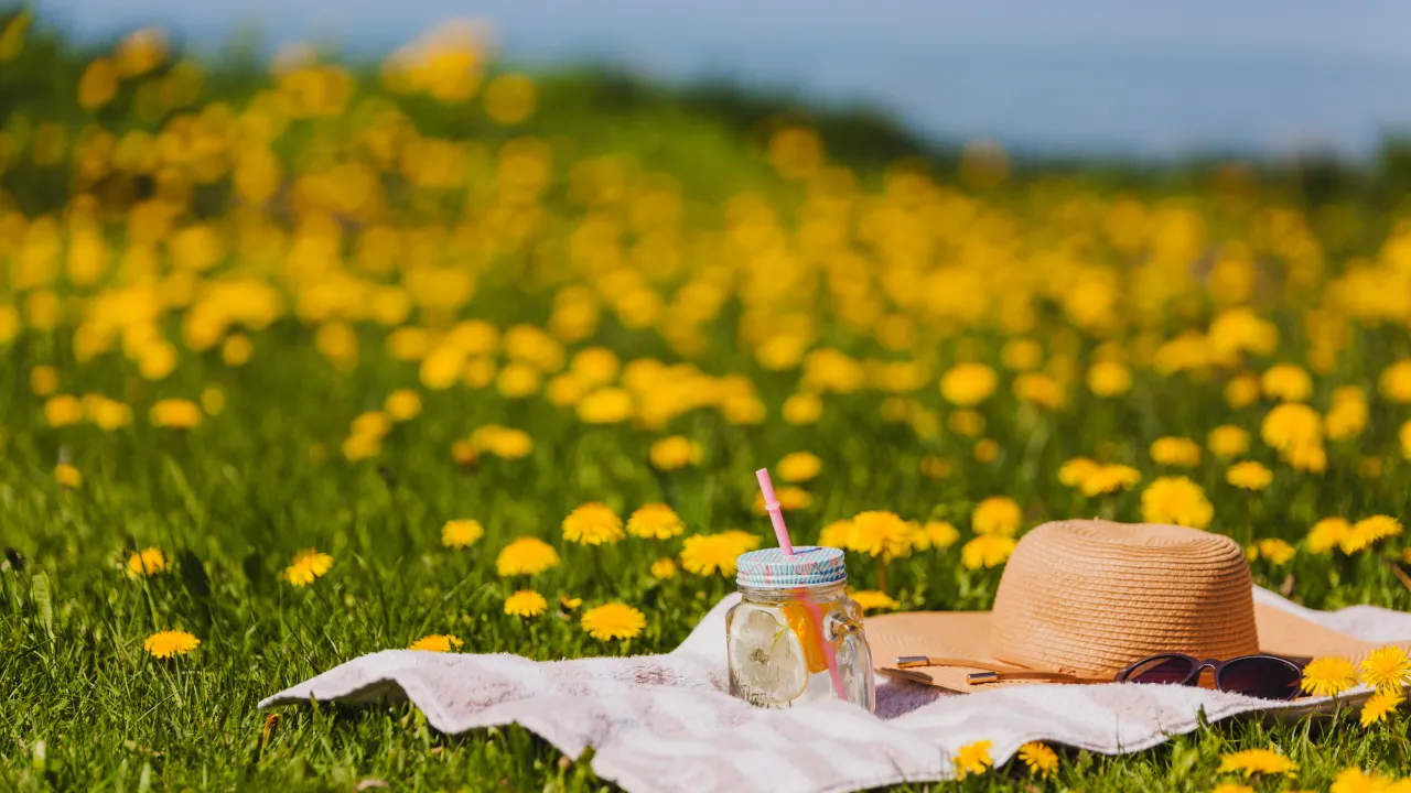 Чи буде «бабине літо» в Україні у жовтні: прогноз синоптикині Наталки Діденко 